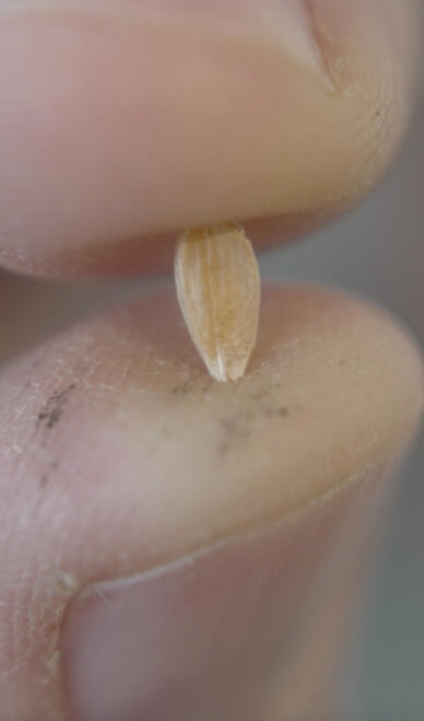 From our farm to your table